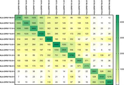 Promiscuity of Peptides Presented in HLA-DP Molecules from Different Immunogenicity Groups Is Associated With T-Cell Cross-Reactivity